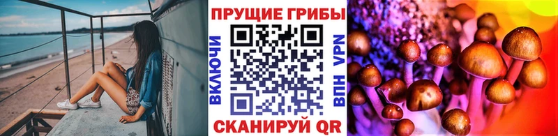 Псилоцибиновые грибы Cubensis  Домодедово 