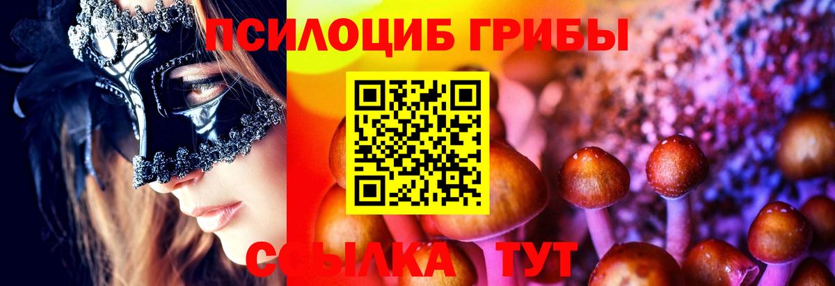 Псилоцибиновые грибы Psilocybe Домодедово